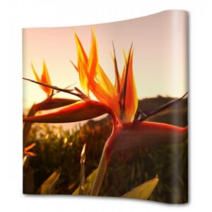 Pop-up Magnetic med bildvåd framifrån