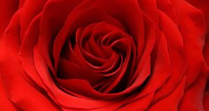 Udda fakta om rött, grönt och blått | Arkitektkopia