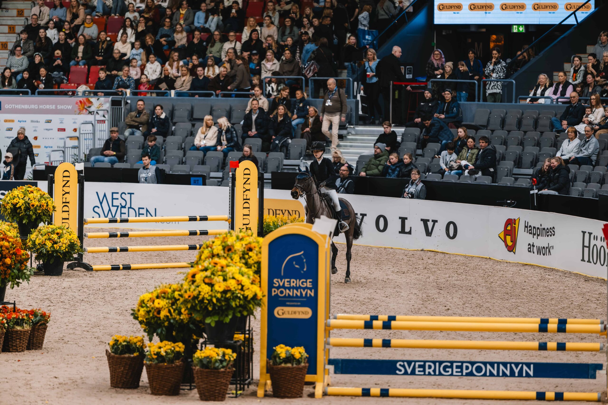 Sponsorskyltar runt sarg till Gothenburg Horse Show 2026